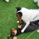 루이야 놀고 자고 GO 이미지