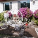 솔바람농장 이미지