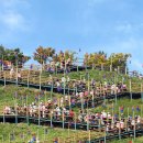 하늘공원 화장실 이미지