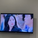 파라다약국 | 🇦🇺 호주 여행 2 - 골드코스트