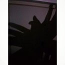 다인아울렛 이미지