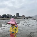 아기랑 오이도 갯벌체험 어촌체험마을 - 물때 시간표 보는법 / 준비물 / 주차장