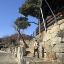 용화수 | 미륵을 기다리는 마음 안국사지 미륵불과 매향비