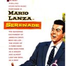 세레나데 이미지