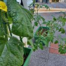 눈앤안경원 이미지