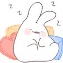 초이스카페 이미지