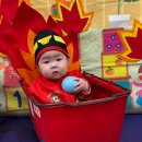 (주)이마트평택점 | 아산 이마트 문화센터 봄 학기 &#39;도레미팡팡&#39; 후기 (8-9개월 아기)