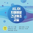 시니어건강체조 이미지