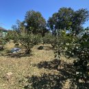 동부농업기술센터 이미지