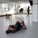 탕정 주짓수 MMA | 아산 TAR 주짓수 오픈 매트 참여🇺🇸🇰🇷 / 주짓수 투어(Midnight_No-gi_club)
