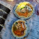 이순신참치