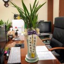 회원동315 이미지