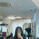 (주)에이바글로벌 | 송도 미용실 추천, 에이바헤어 송도센트럴파크점/ 레이어드컷, 헤어클리닉 후기