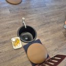 시전1길 | 원주 가족펜션 추천 피노키오숲 아이랑 방문 후기