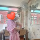 아미낙지 이미지