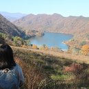 꿀목장2 이미지