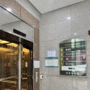 설해돈 | 내돈내산 대전 돈가스 맛집 설해돈 둔산동 본점 매갈가스 솔직후기