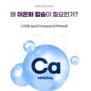 엘씨엠 이미지