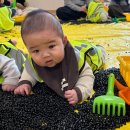 원종풀잎문화센터 | 5개월 아기 문센 봄학기 시작! 창원 홈플러스 문화센터 풀잎아이 오감놀이 후기(내돈내산)