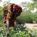 미나목장 이미지