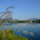 한강둔치길 이미지