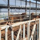 한림축사 이미지