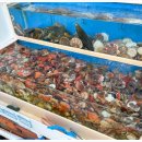 해물횟집 이미지