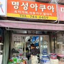 명성 | 청계천 수족관 거리 게코 입문 후기 (명성아쿠아, 주차 꿀팁까지)
