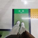 금상화장실 | 유후인 _ 하카타역 툴리스커피 나카야료칸 긴린코호수 금상고로케 미피샵 지브리샵 사무라이라멘