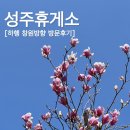 남산주유소 | [성주 휴게소 하행 창원방향 방문 후기] 한산하고 아늑한 곳, 기대 이상의 맛 남산돈까스 &amp; 고추장 제육...