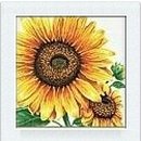 푸름다음 이미지