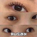 위니드래쉬