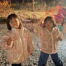 스테이노은 이미지