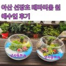 영인원예 | 아산 선장초 테라리움 만들기 원예 수업 후기