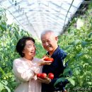 김종옥농장 이미지