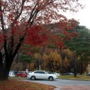 한실약수터 이미지