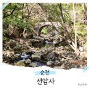 순천편백숲민박 | 순천 선암사 절 가볼만한곳 조계산 국립공원 힐링여행