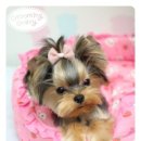 베베그루밍 이미지