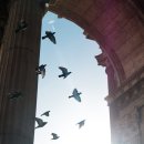 대행 행정사사무소 이미지