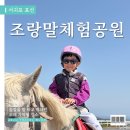표선면-14 | 제주 승마 조랑말체험공원 :: 도민이 추천하는 이유