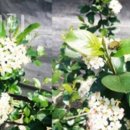 솔내음농장 이미지