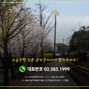 더하우스공인중개사사무소 이미지