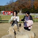 미원목장 이미지