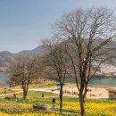 수선화 - 계양구 계산천동로 6 | 수선화