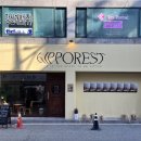 히포레스트(Hipporest) 네이버블로그