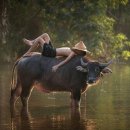 우주미술관 이미지