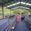 솔미축사 이미지