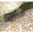 영산농장 이미지