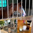 정읍 이색카페 와일드커피(승마체험)