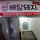 삼겹살도배달돼지 이미지